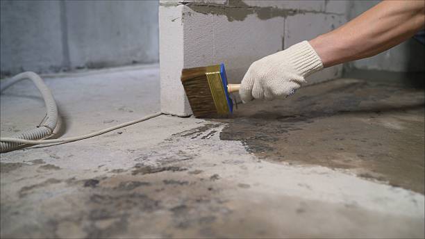 SJ Waterproofing Pros Sump Pump Installation coverage map for Larsen, WI and surrounding area